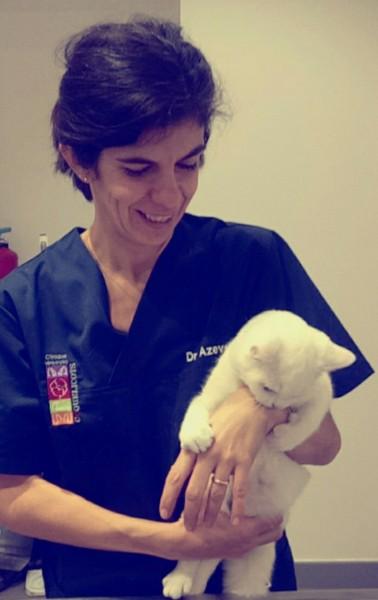 BIenvenue au Dr Azevedo