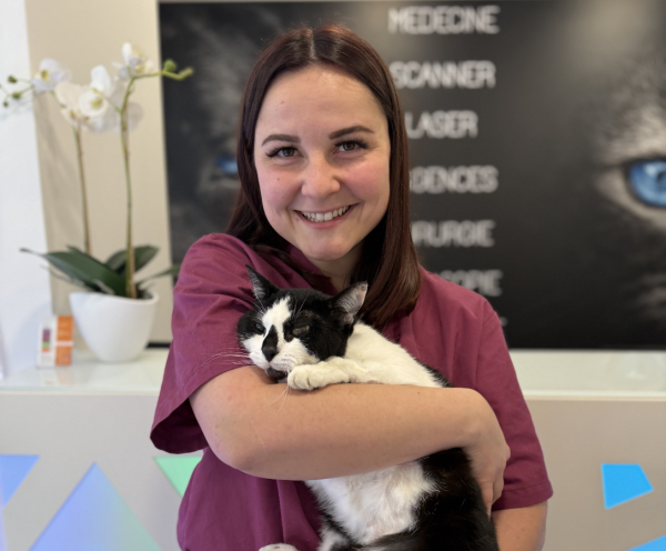 chat vacciné coryza